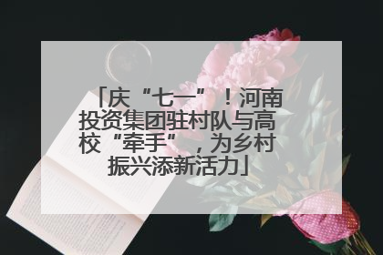 庆“七一”！河南投资集团驻村队与高校“牵手”，为乡村振兴添新活力